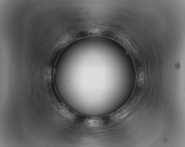 X0000100940466200807011249