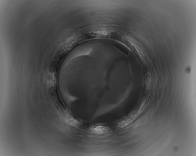 X0000100940467200807011249