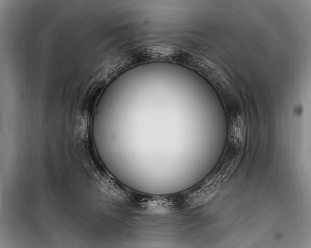 X0000100940468200807011249