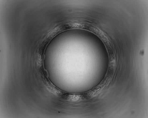 X0000100940469200807011249