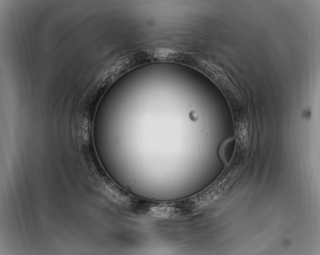 X0000100940470200807011249