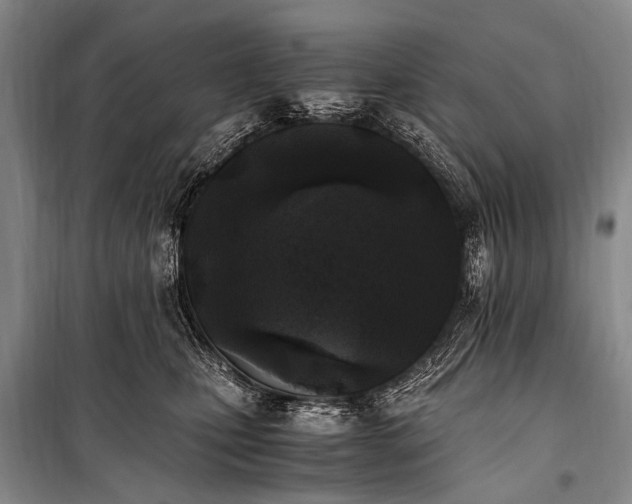 X0000100940471200807011249