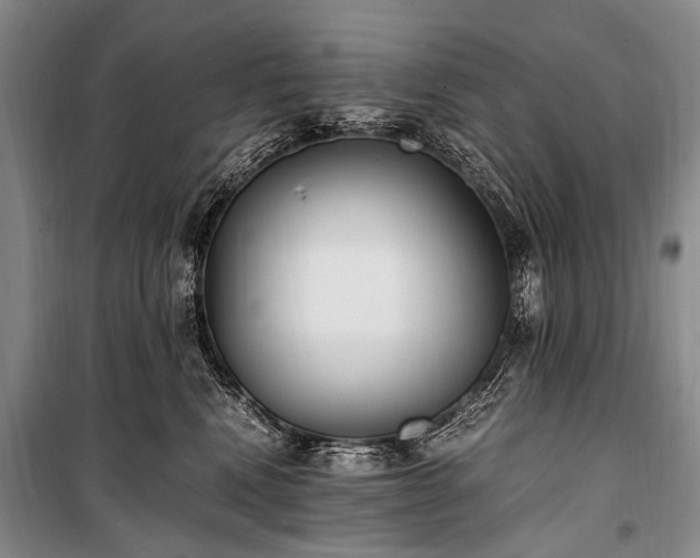 X0000100940472200807011249