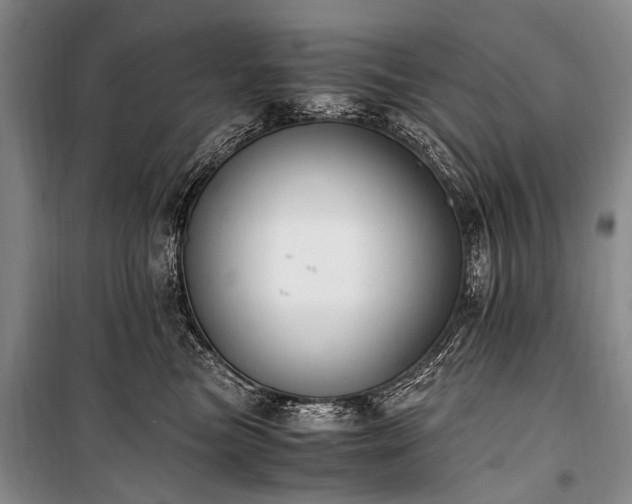 X0000100940473200807011249