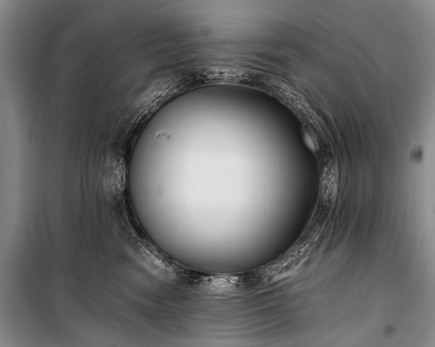 X0000100940474200807011249