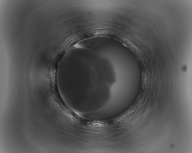 X0000100940475200807011249