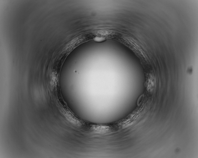 X0000100940476200807011249