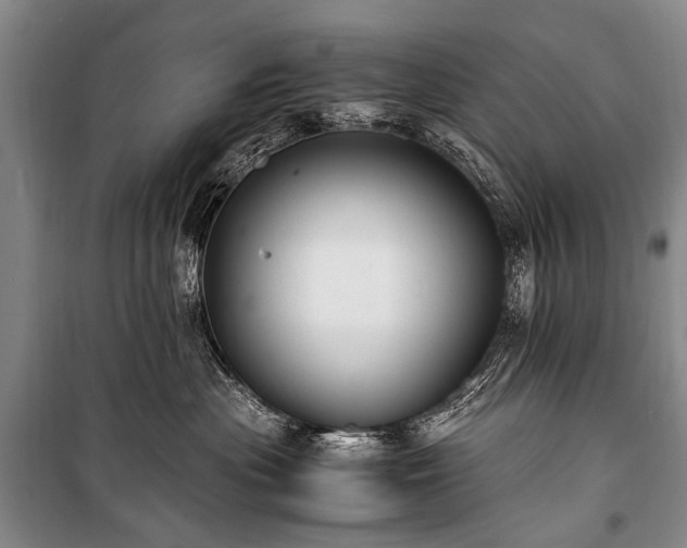 X0000100940477200807011249