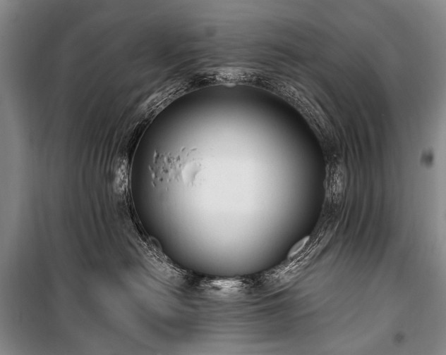 X0000100940478200807011249