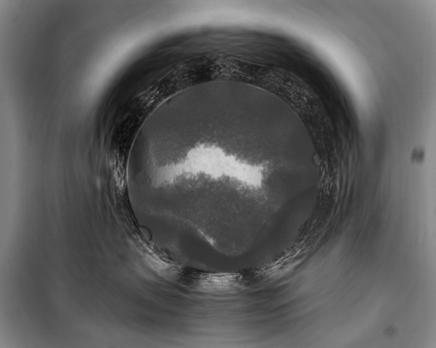 X0000100940479200807011249