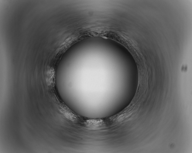 X0000100940480200807011249