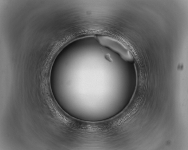 X0000100940481200807011249