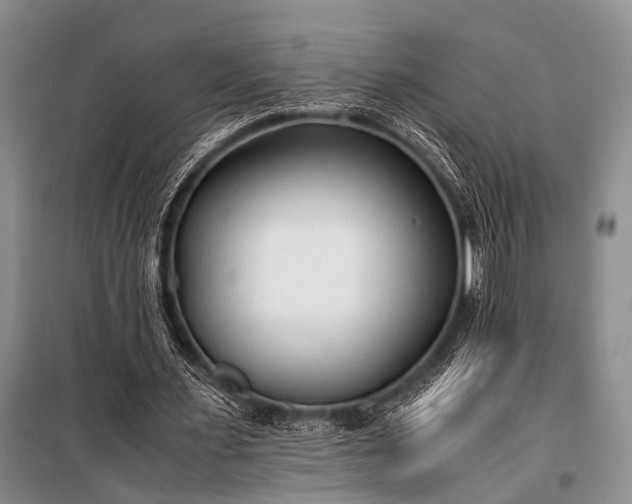 X0000100940483200807011249