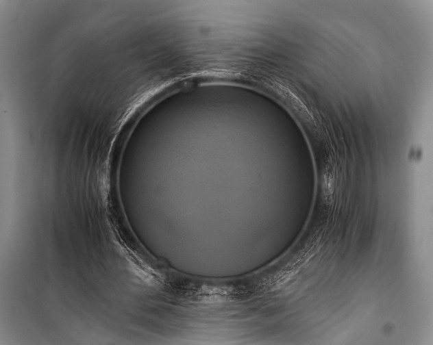 X0000100940484200807011249