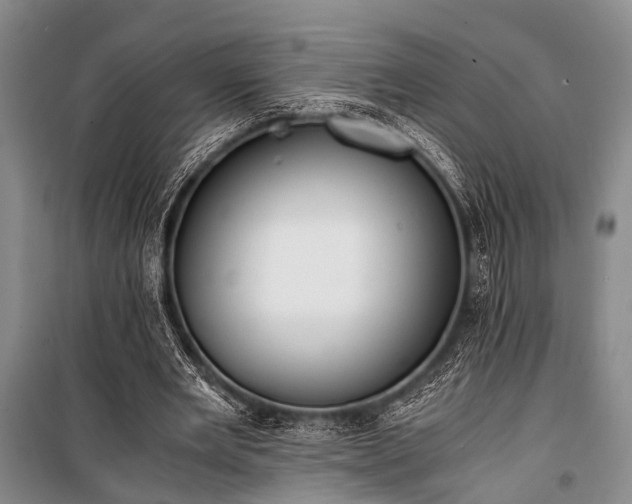 X0000100940485200807011249