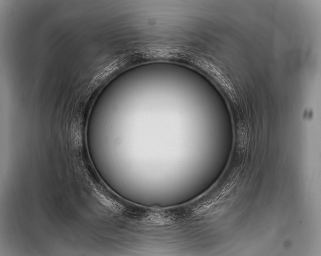 X0000100940489200807011248