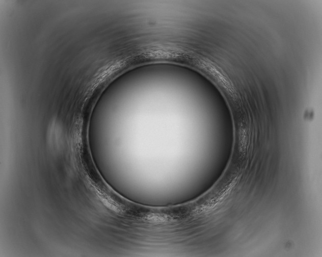 X0000100940490200807011248