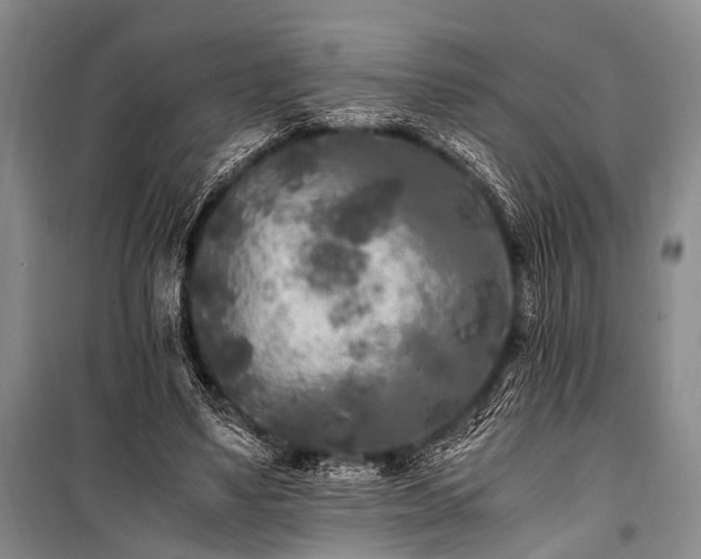 X0000100940491200807011248