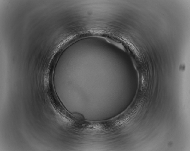 X0000100940492200807011248