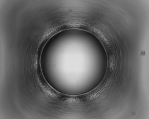 X0000100940494200807011248