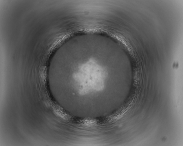 X0000100940495200807011248