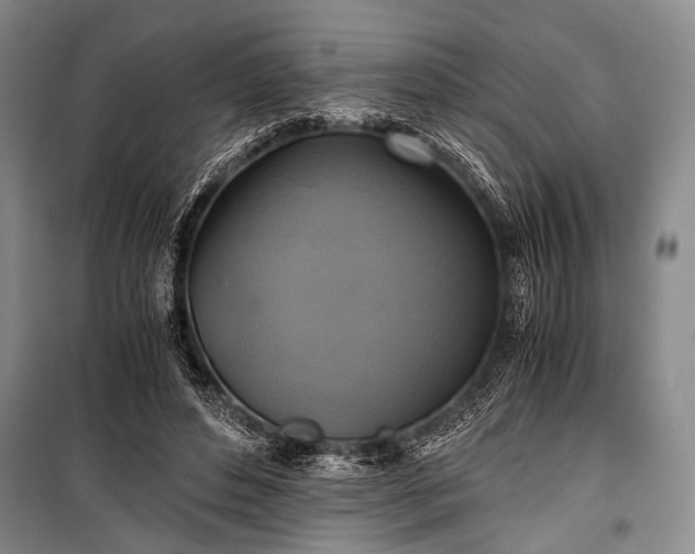 X0000100940496200807011248