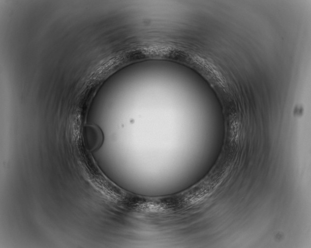 X0000100940498200807011248