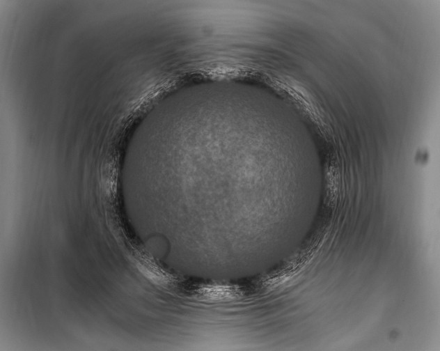 X0000100940499200807011248