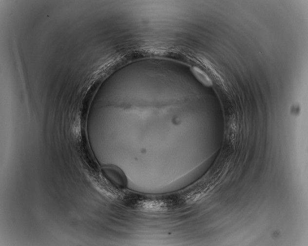 X0000100940500200807011248