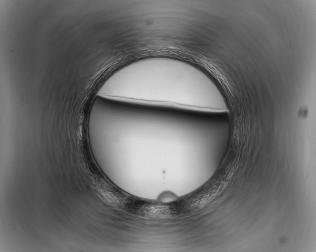 X0000100940501200807011248