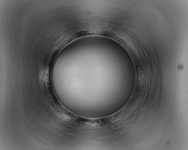 X0000100940502200807011248