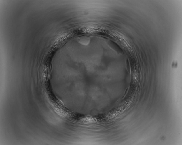 X0000100940503200807011248