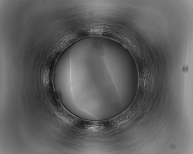 X0000100940504200807011248