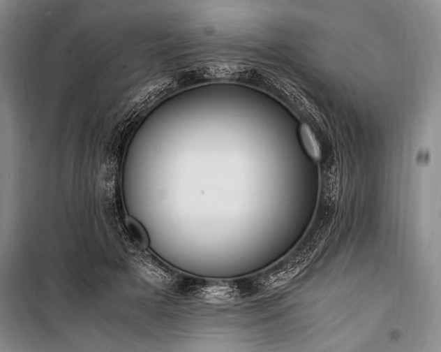 X0000100940505200807011248