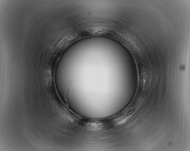 X0000100940506200807011248