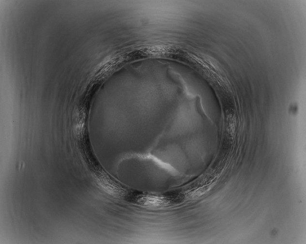 X0000100940507200807011248