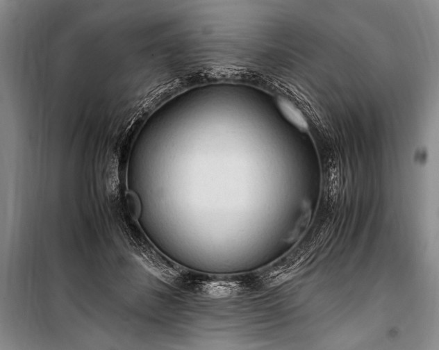 X0000100940508200807011248