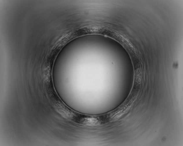 X0000100940509200807011248