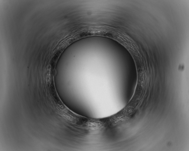 X0000100940510200807011248