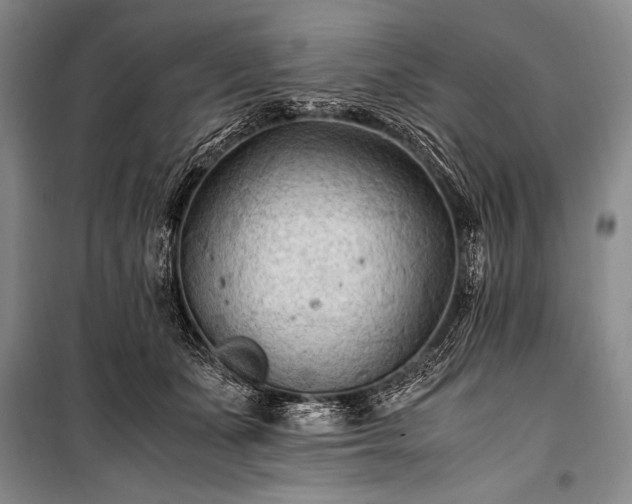 X0000100940511200807011248