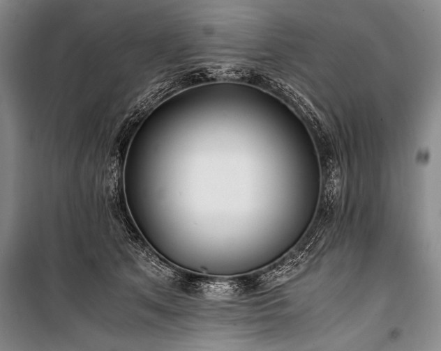 X0000100940513200807011248