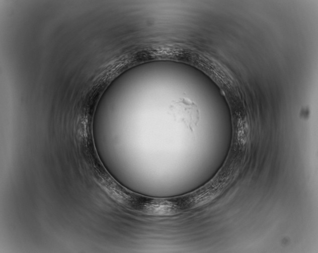 X0000100940514200807011248