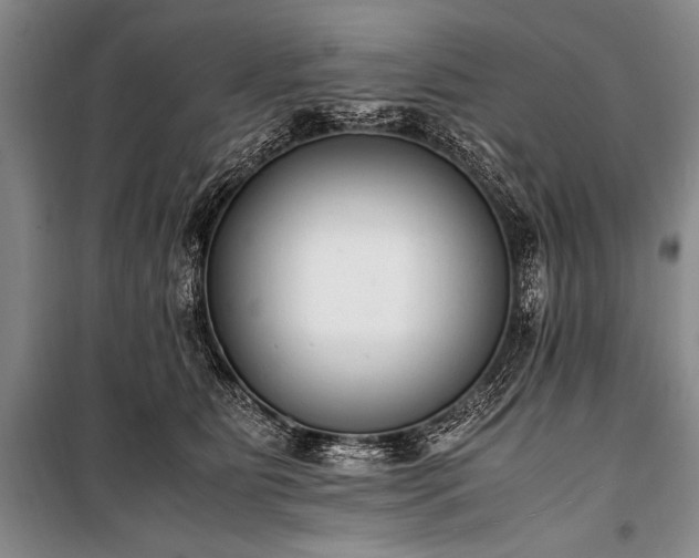 X0000100940515200807011248