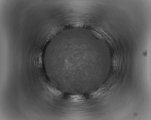 X0000100940516200807011248