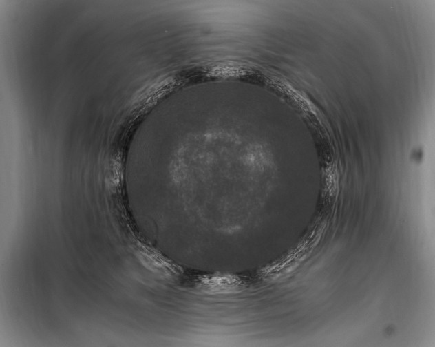 X0000100940517200807011248