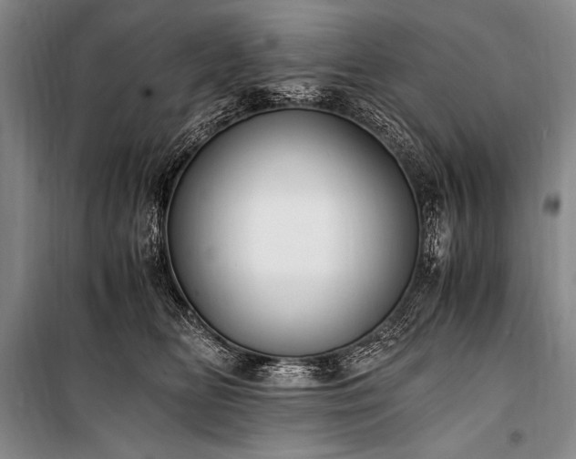 X0000100940518200807011248