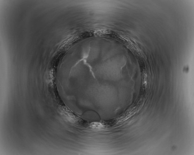 X0000100940519200807011248