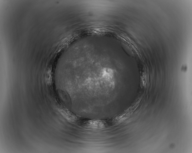 X0000100940520200807011248