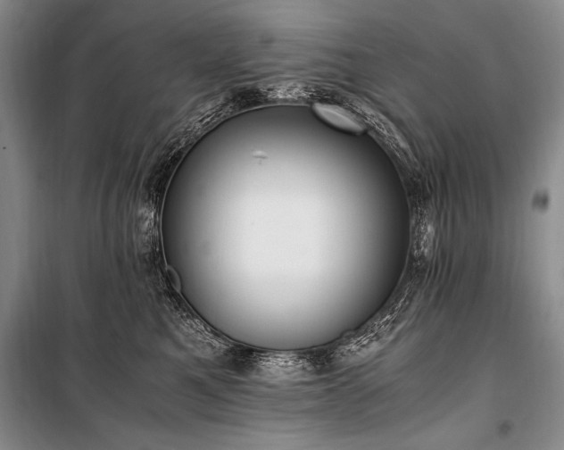 X0000100940521200807011248