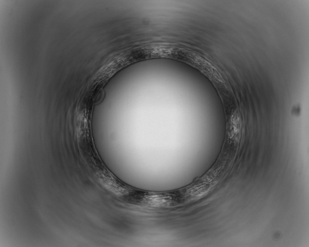 X0000100940522200807011248